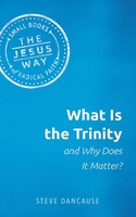 Steve Dancause | What Is The Trinity And Why Does It Matter? | Taschenbuch