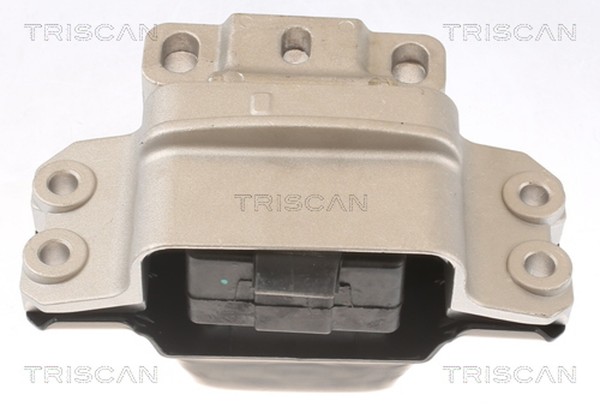 Triscan Motorlager 8505 29148 FüR VW Jetta 4 162 163 AV3 AV2 Beetle 5C7 5C8 Golf-image
