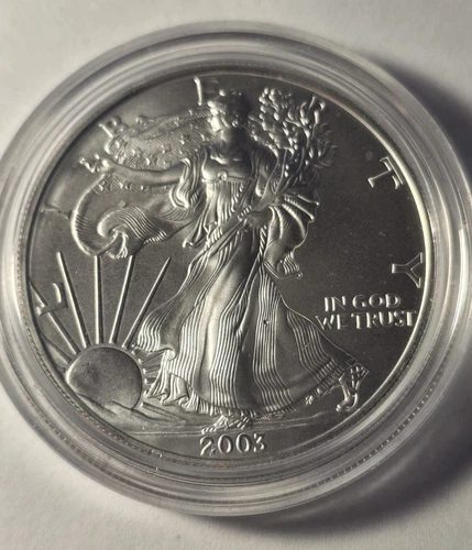 2003 Silver Eagle $1 Dollar 1oz Uncirculated .999 -In Capsule