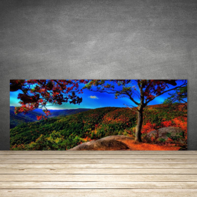 Küchenrückwand aus Glas ESG Spritzschutz 125x50cm Gebirge Wald Natur