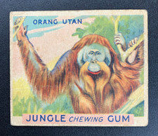 Orangutan 1933 R78 World Wide Gum Jungle Chewing Gum #15
