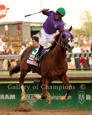 California Chrome 2014 Kentucky Derby #2 Finish Photo 8" x 10 - 24" x 30" 
