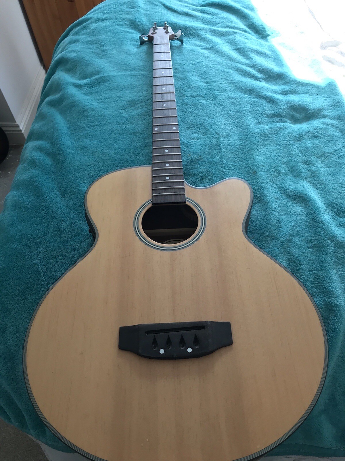acoustic guitar eBay