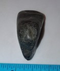  AUTHENTIC INDIAN EFFIGY BIRD FACE STONE TOOL CELT ARTIFACT COLLECTIBLE RELIC — photo 8