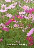 My Colour Cosmic Sea Matthew R Brackley Taschenbuch Kartoniert / Broschiert 2014