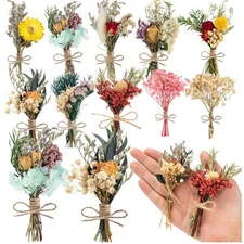 10 Pcs Dried Flowers for Crafts, Mini Dried Flowers Bouquet Bulk for Vase DIY...