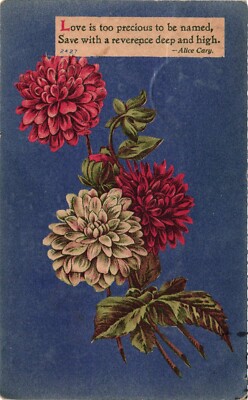 Love is too Precious To Be Named Alice Cary Posted 1911 Vintage Postcard