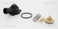 Triscan Thermostat KüHlmittel 8620 44487 Separates GehäUse