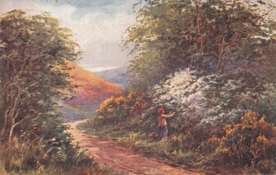 TUCK TOPIGRAPHICAL POSTCARD  DEVON GOOD PLUS VERY GOOD