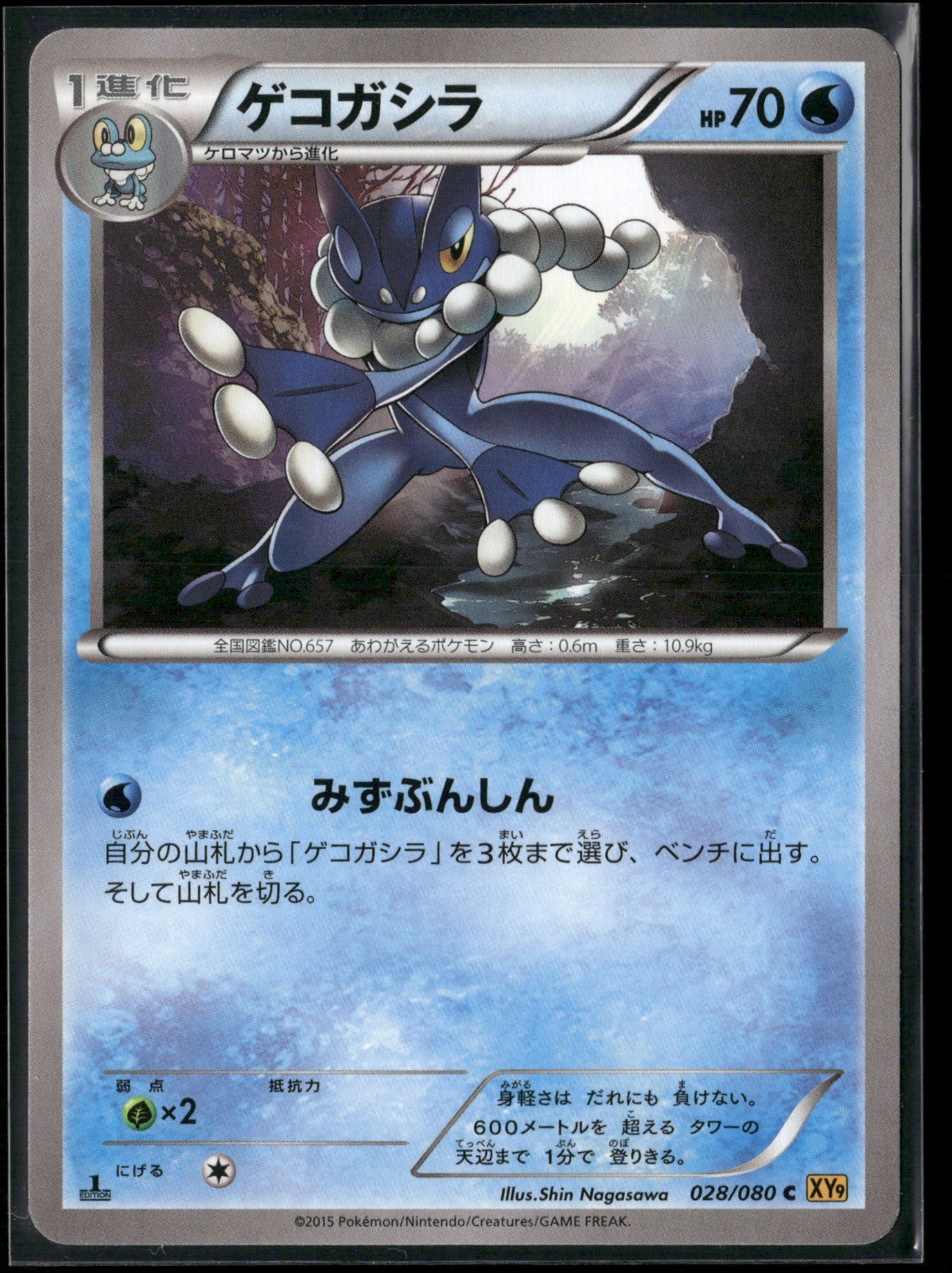 Frogadier 1st Edition Common XY9: Rage of the Broken Heavens 028/080 2015