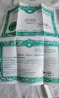 Original Cabbage Patch Doll Birth Certificate Brenda Melanie