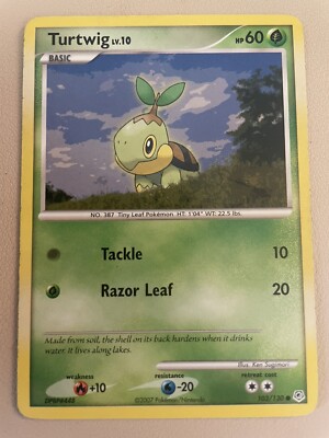 Pokmon TCG Turtwig Diamond & Pearl 103/130 Regular Common MP | eBay