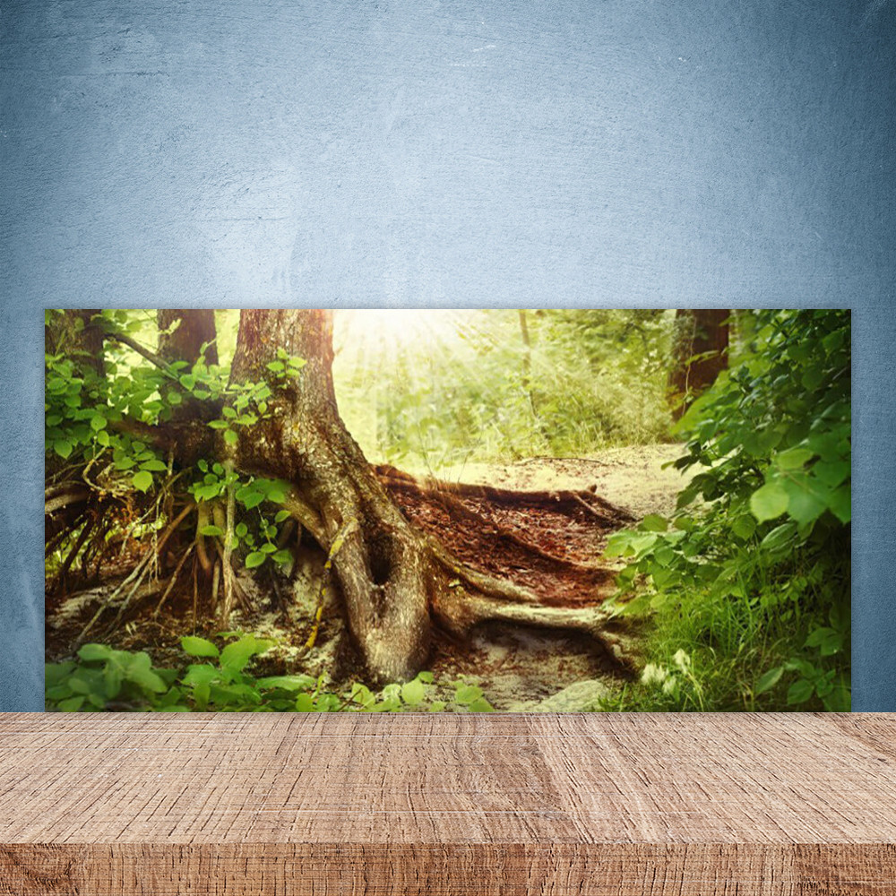 Crédence de cuisine en verre Nature Tronc D'arbre 100x50 cm pour protection murale