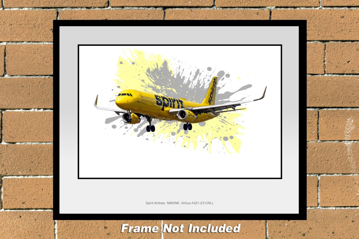 Photograph United Airlines Collectibles for sale | eBay