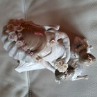 Bild 12 von 24