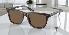 POLO PH4205U 500373 Shiny Dark Havana Brown 56 mm Men's Sunglasses