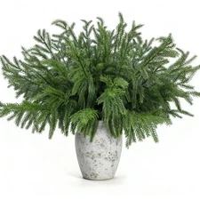 12 Pcs Christmas Norfolk Pine Branches Artificial Stems Real Touch Faux Greenery