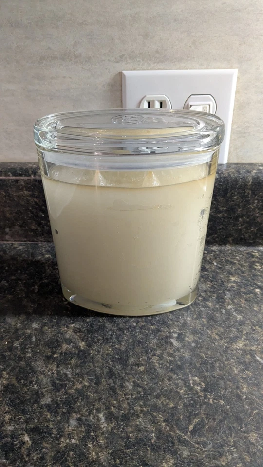 Vela colonial HOGAR PARA LAS VACACIONES 2 mechas 22 oz tarro grande vela Foto 2 de 4