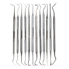 New Dental Tooth Cleaning Kit Dentist Scraper Pick Tool Calculus Plaque Remover