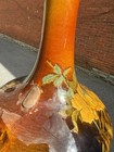 Foto 8 di 22