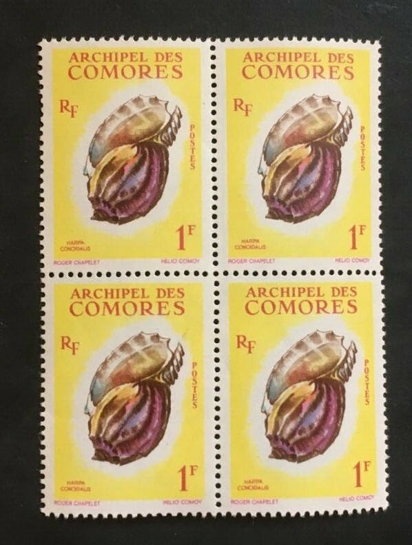Foto 1 di 1
