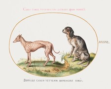 14149.Decor Poster.Room wall art design.Vintage drawing.Animal world.Pet dogs