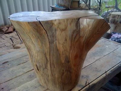 Bespoke Australian Tree Trunk Coffee Table Honey Myrtle Tables Gumtree Australia Bassendean Area 1117991665 - Bespoke Coffee Tables Australia Bespoke Australian Tree Trunk Coffee Table Honey Myrtle Tables Gumtree Australia Bassendean Area 1117991665 - Bespoke Coffee Tables Australia