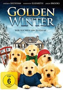 Golden Winter - Wir suchen ein Zuhause von Sam Mendoti | DVD | Zustand sehr gut