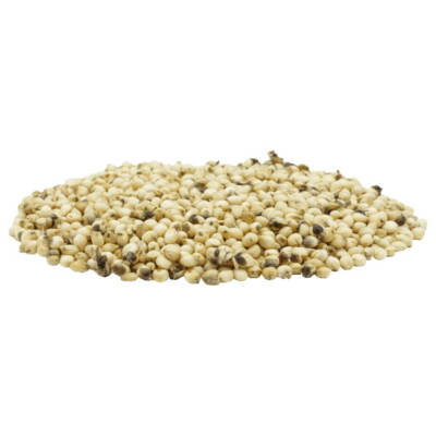 Sudangras Bovital 25 kg Hirsegras Sorghum Futterpflanze Massebildung Biogas