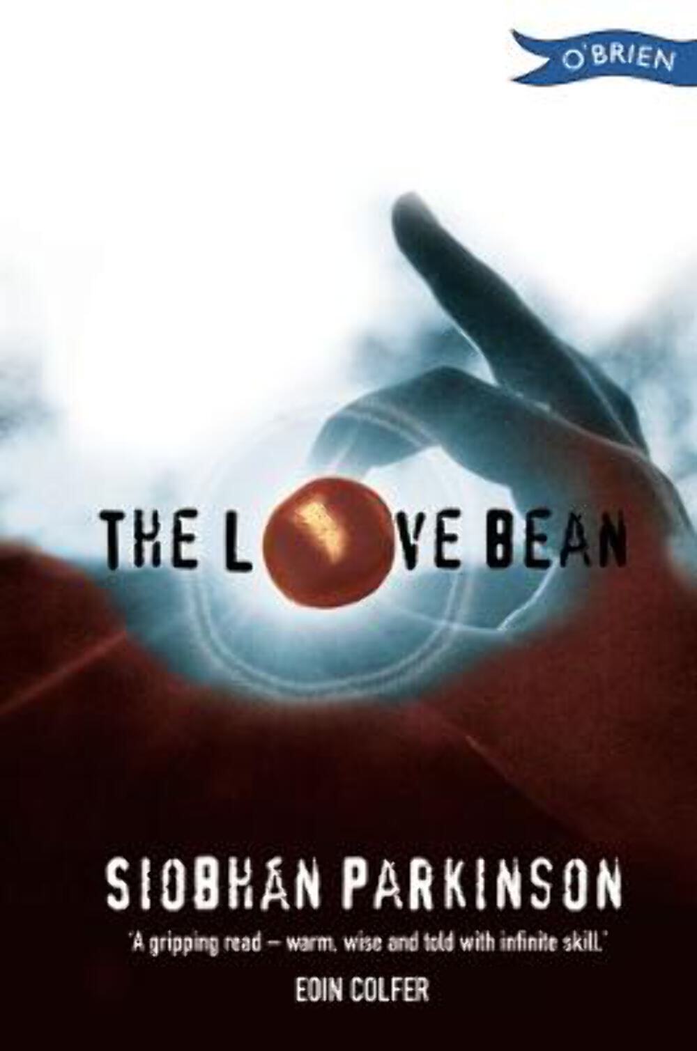 Siobhan Parkinson: The Love Bean [2002] paperback