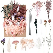 Real Dried Flowers, Natural Dry Flowers Mixed Natural Pressed Flowers Flores ...