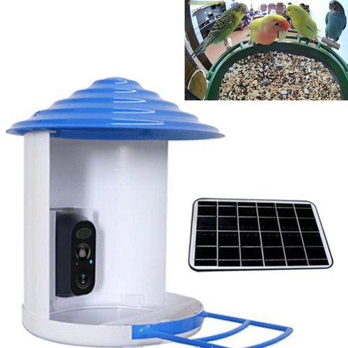 4G Bird Feeder Camera LTE Sim Card 2MP 1080p HD Solar Power Night Vision PIR - Picture 2 of 12