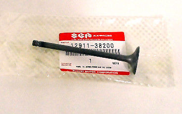 DR250S TU250X GN250 GZ250 Marauder Genuine Suzuki New Intake Valve