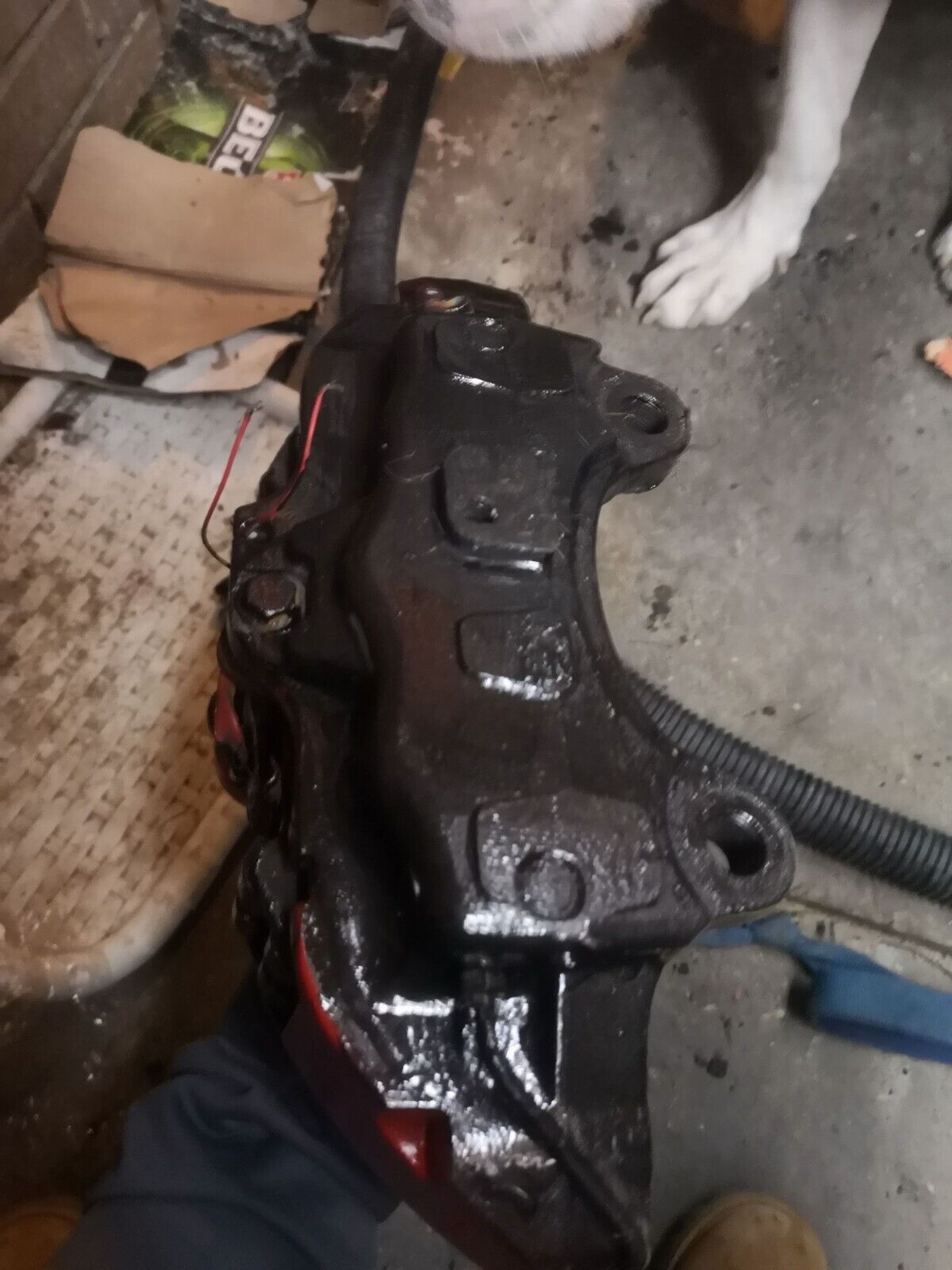 Picture 4 of 16