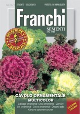 Franchi - FDBF_S 311-1 - Ornamental Cabbage Multicolour - Seeds