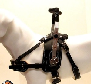 Bold Lead Designs Leather Guide Dog Harness Rigid Handle Adjustable Padded