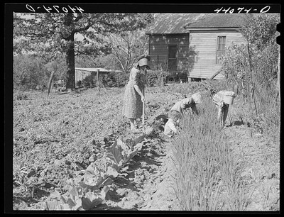 Photo:Carroll County Georgia Mrs Lemuel Smith Children Garden 1941