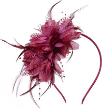Womens Fascinators Hats Tea Party Hats for Women, Feather Pearl Veil Headband fo