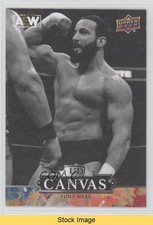 2023 Upper Deck AEW All Elite Wrestling UD Canvas Black Tony Nese #C65 READ 0to7