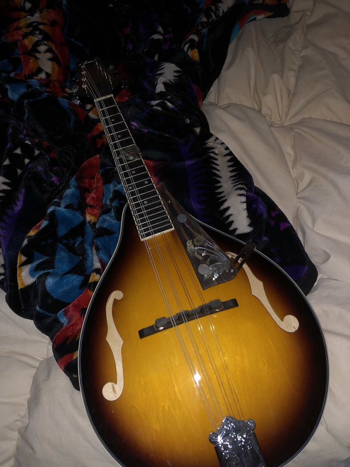 Custom Mandolin w upgrades eBay