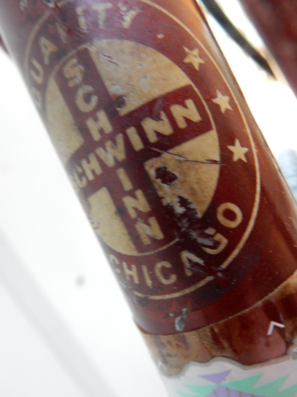 schwinn paramount ebay