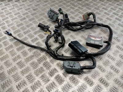 2002 Harley Davidson Road King FLHRI V&H Aftermarket Tankpackung