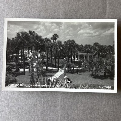 RPPC Postcard Kodak Photo Marine Studios Marineland Florida Tourism St Augustine