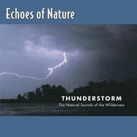 Echoes of Nature: Thunderstorm Von Echoes of Nature | CD | Zustand Neu