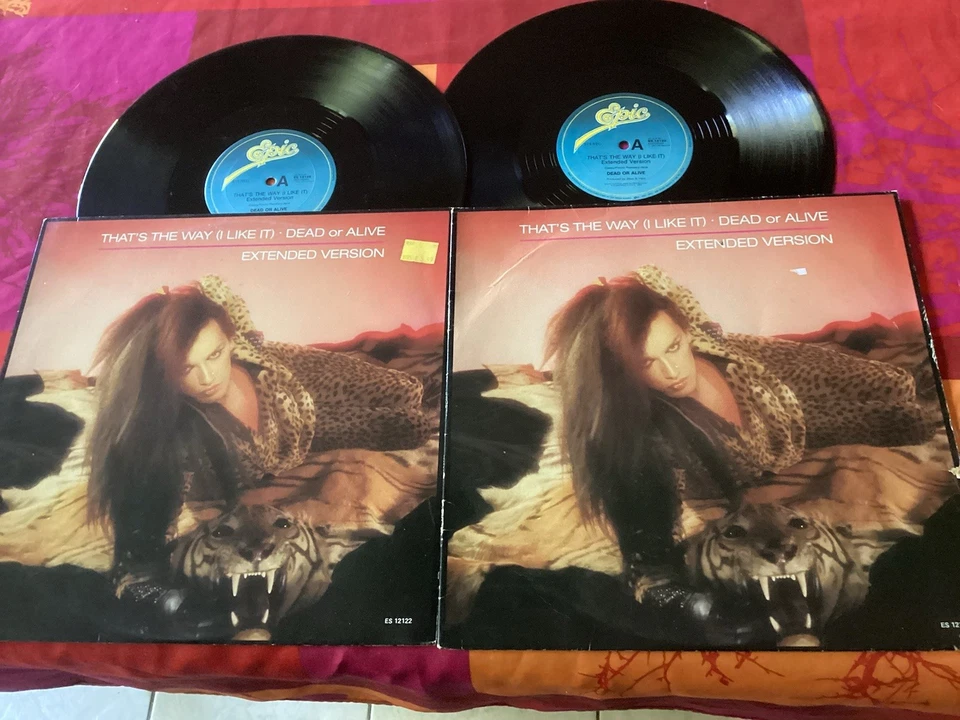 Dead Or Alive That’s The Way (I Like It) 12” Vinyl Picture Cover B/W Do It - Image 3 of 4