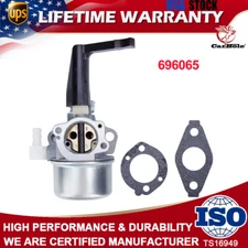 Carburetor for Briggs &Stratton 696065 697422 698860 275160 with Mounting Gasket