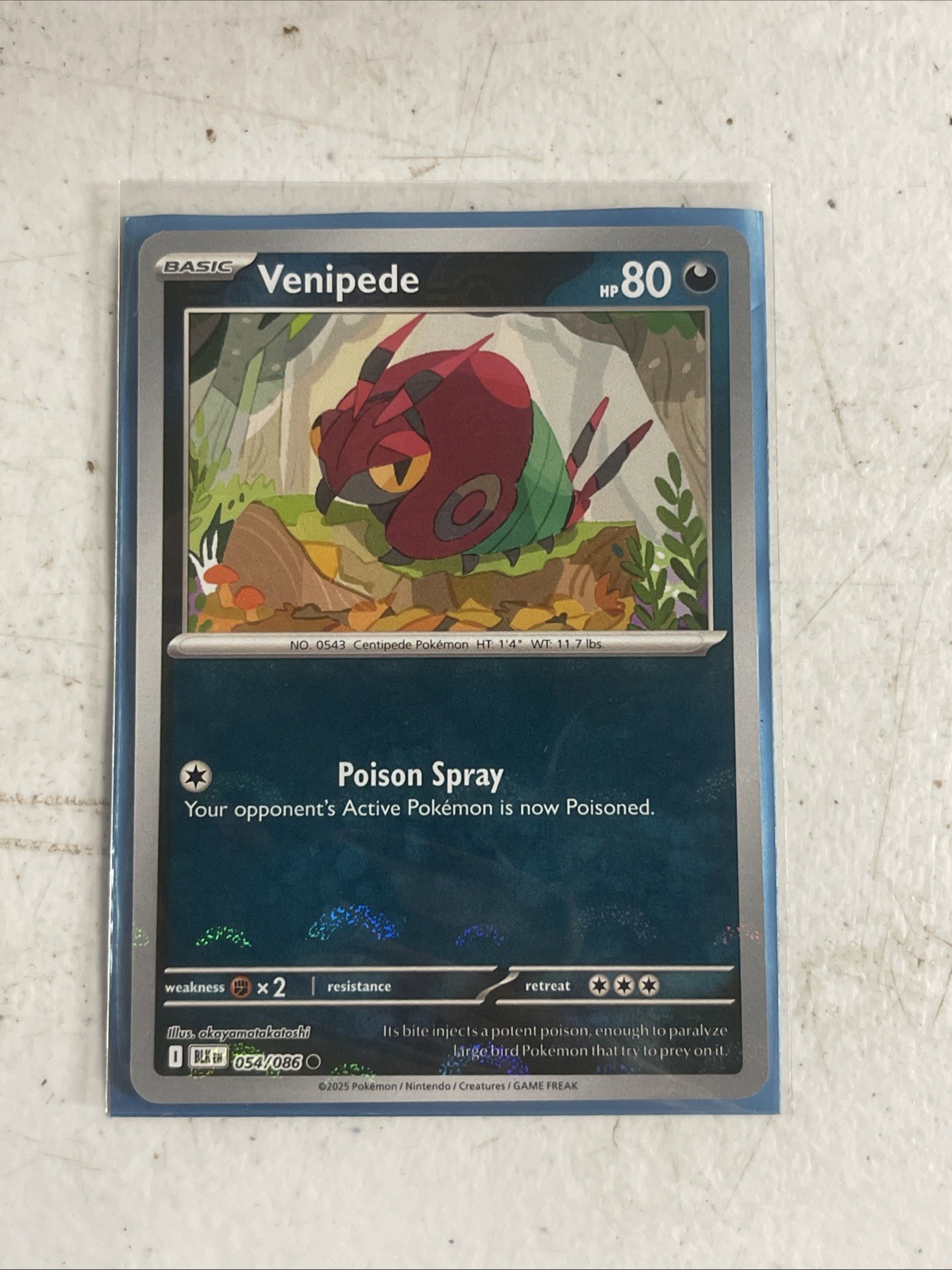 VENIPEDE 054/086 BLACK BOLT POKEMON (POKE BALL, NM)