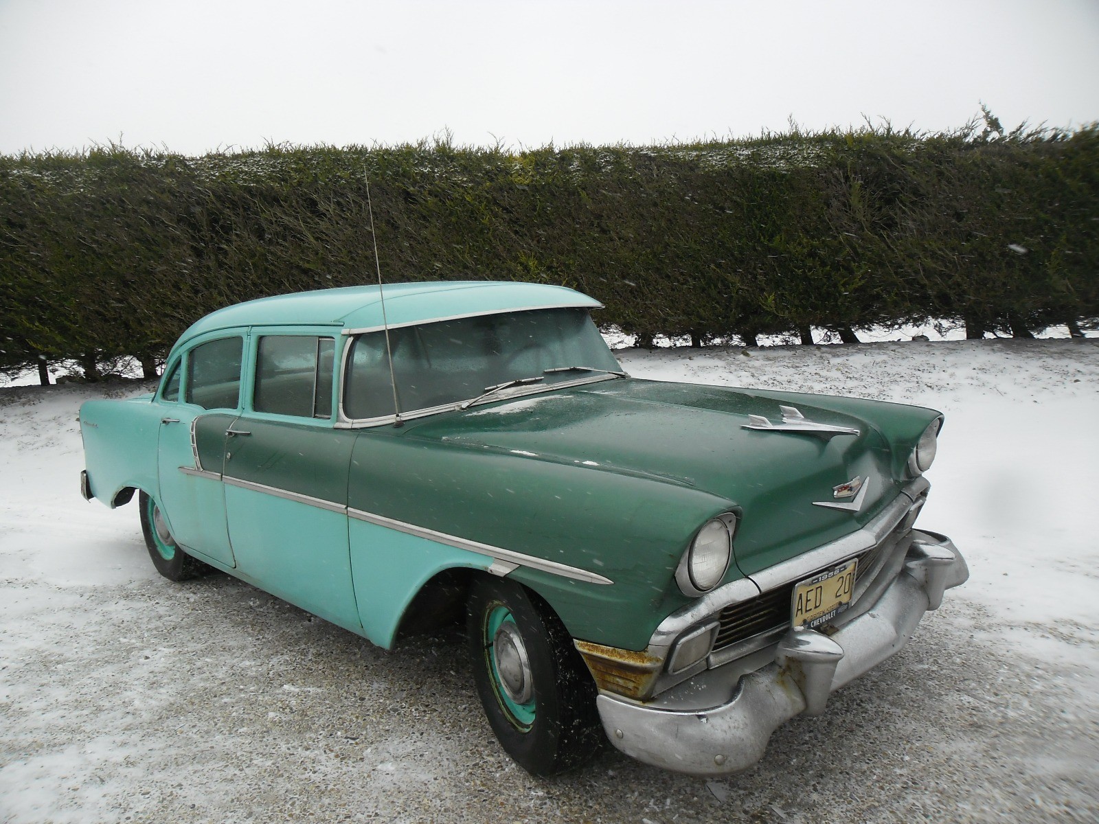 s-l1600.jpg