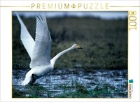 Calvendo Puzzle Wild Swan. Finland | 1000 Pieces, Finished Size 25.2 × 18.9 In (