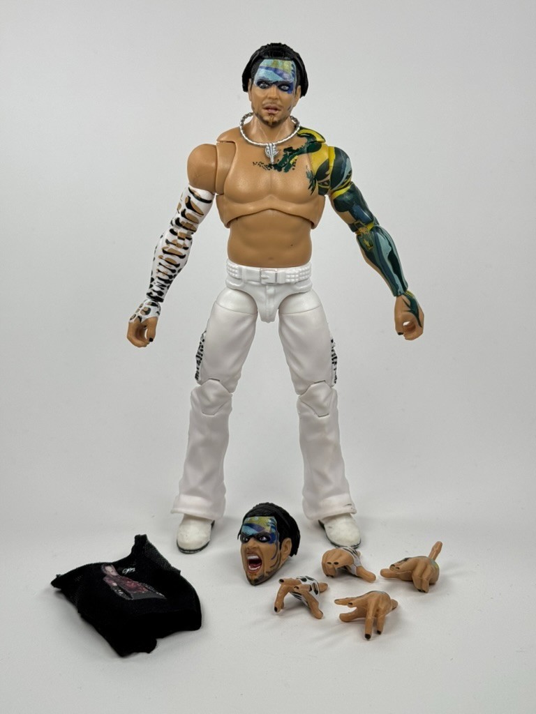Mattel WWE Ultimate Edition 14 Jeff Hardy Wrestling Figure